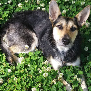 Meet your Posher, Nancy